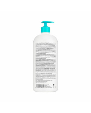 Gel Bagno Isdin Germisdin Aloe Vera Antisettico (1000 ml) (Parafarmacia)