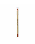 Matita per le Labbra Colour Elixir Max Factor Nº 025 Brown n Bold (10 g)