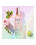 Acqua di Bellezza Caudalie Eau De Beaute Fissante 100 ml