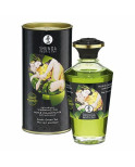 Olio per Massaggio Erotico Shunga CC812100 Tè Verde (100 ml)