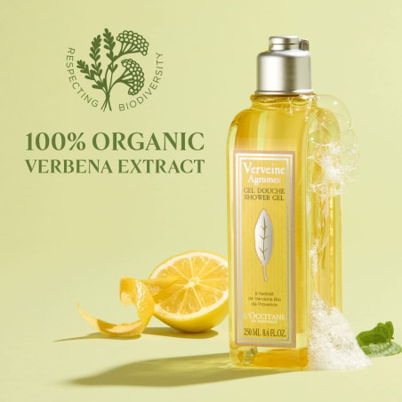 Gel Doccia L'Occitane En Provence   500 ml Ricarica Agrumi Verbena