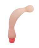 BAILE - VIBRATORE SENSUALE FLEXI VIBE SPINE 22 CM