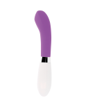 GLOSSY - JOHN VIBRATOR VIOLA