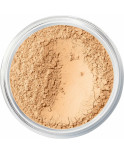 Base per il Trucco in Polvere Shine Inline Original Nº 07-golden ivory Spf 15 (8 g)