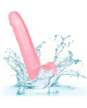 CALIFORNIA EXOTICS - DILDO REGINA TAGLIA ROSA 20.3 CM