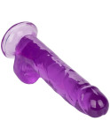 CALIFORNIA EXOTICS - DILDO REGINA TAGLIA VIOLA 20.3 CM