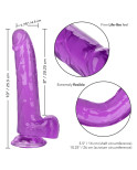 CALIFORNIA EXOTICS - DILDO REGINA TAGLIA VIOLA 20.3 CM