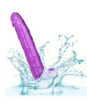 CALIFORNIA EXOTICS - DILDO REGINA TAGLIA VIOLA 25.5 CM