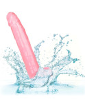 CALIFORNIA EXOTICS - DILDO REGINA TAGLIA ROSA 25.5 CM