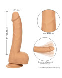 CALIFORNIA EXOTICS - BORCHIE IN SILICONE 20.32 CM PELLE