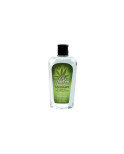 Olio per Massaggio Erotico Nuei Cosmetics of the Night 100 ml Cannabis