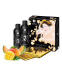 Kit Piacere Grande Shunga SH7702 (2 pcs)