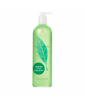 Gel Doccia Elizabeth Arden 10011095 Tè Verde 500 ml