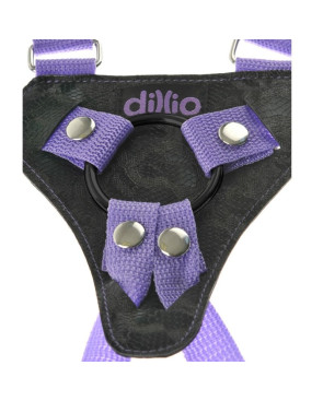 DILLIO - SET DI IMBRACATURE CON CINTURINO 7 POLLICI