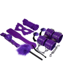 EXPERIENCE - KIT FETISH BDSM SERIE VIOLA