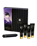 SHUNGA - KIT GEISHA CATTIVA