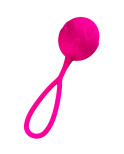 ADRIEN LASTIC - PALLE MIA PER PRINCIPIANTI SILICONE ROSA