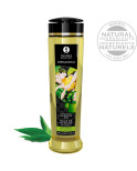 SHUNGA - OLIO DA MASSAGGIO BIOLOGICO TÈ VERDE 240 ML