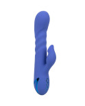 CALIFORNIA EXOTICS - LA LOVE VIBRATOR  SUCKER BLUE DI CALIFORNIA DREAMING