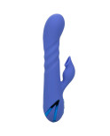 CALIFORNIA EXOTICS - LA LOVE VIBRATOR  SUCKER BLUE DI CALIFORNIA DREAMING