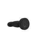 Plug Anale Blush Adeventure Platinum Nero