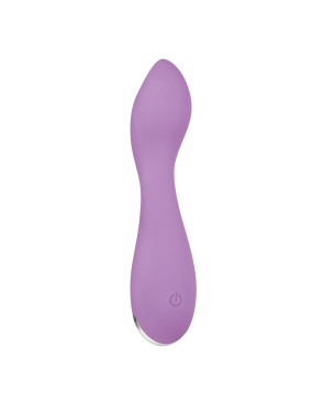 Mini Vibratore Evolved Lilac G Rosa